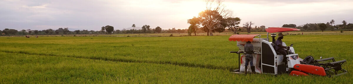 cheap rice mill, rice mill india, rice mill machine, rice milling machine, mini rice mill, uganda, rwanda, kenya, ivory coast, egypt, mali, africa