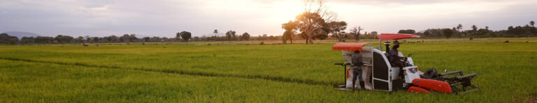 How to Choose the Right Machinery- Commercial or Mini Rice Mill?