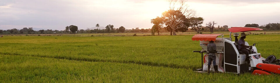 cheap rice mill, rice mill india, rice mill machine, rice milling machine, mini rice mill, uganda, rwanda, kenya, ivory coast, egypt, mali, africa