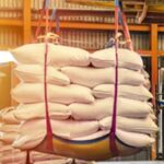 mini rice mill, rice mill machine, rice milling machine, destoner, precleaner, paddy cleaner, sheller, whitener, husk seperator, paddy seperator, silky polisher,grader, sorter, sortex, plan sifter, rice grader, rice silo, silo storage