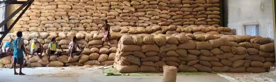 cheap rice mill, rice mill india, rice mill machine, rice milling machine, mini rice mill, uganda, rwanda, kenya, ivory coast, egypt, mali, africa