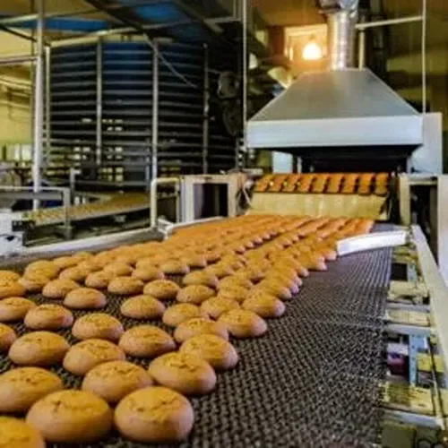 Main Home 5 food processing min e1741081142660 1