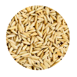 RICE.png