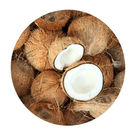 coconut min.png