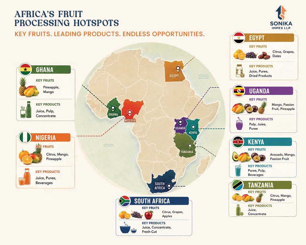 Why Fruit Processing is the Next Big Opportunity in Africa 11 fruit processing in Africa