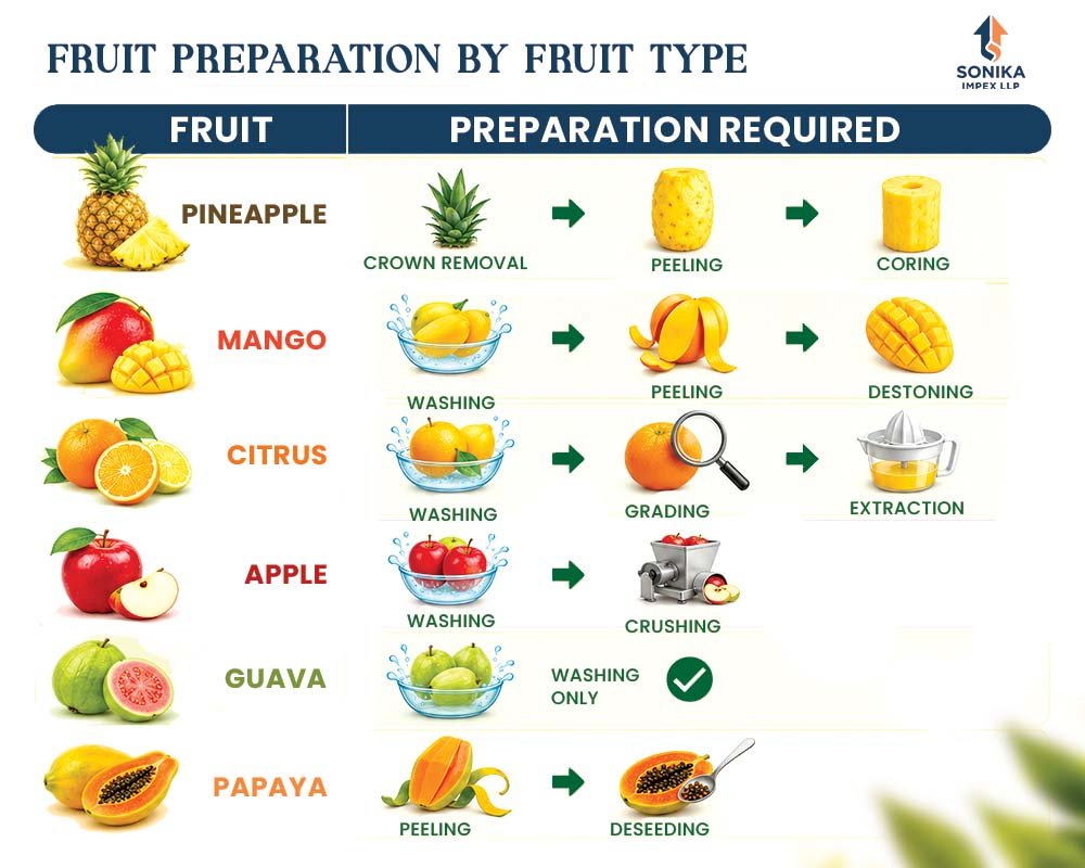 Industrial Fruit Processing: A Step-by-Step Guide for Modern Processing Plants 8 fruit juice processing plant