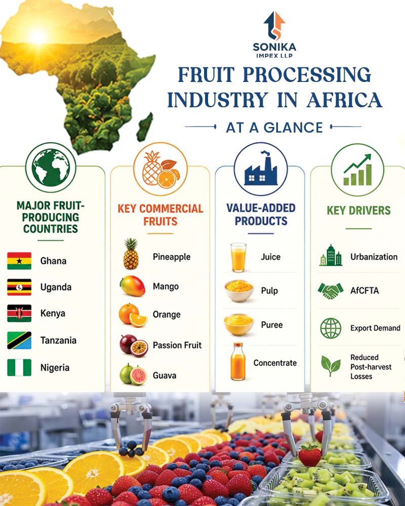 Industrial Fruit Processing: A Step-by-Step Guide for Modern Processing Plants 7 fruit juice processing plant