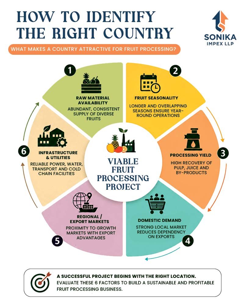 Countries Leading the Fruit Processing Opportunity in Africa 5 Fruit Processing in Africa