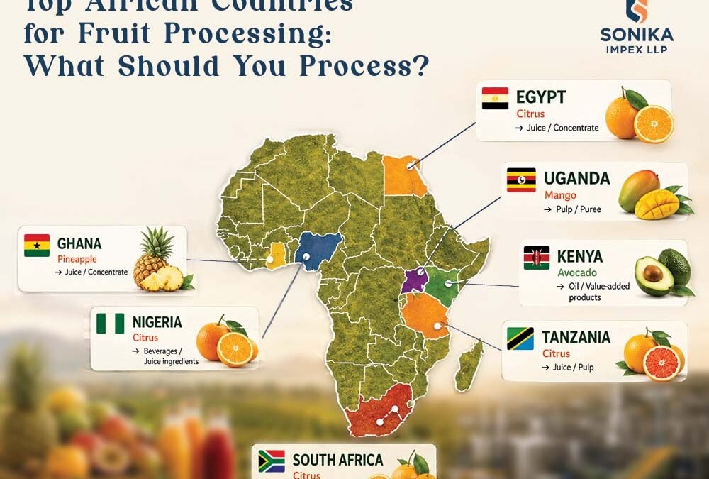 Countries Leading the Fruit Processing Opportunity in Africa 4 Fruit Processing in Africa