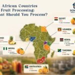 Countries Leading the Fruit Processing Opportunity in Africa 5 Fruit Processing in Africa