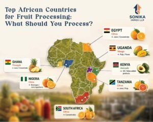 Countries Leading the Fruit Processing Opportunity in Africa 1 Fruit Processing in Africa