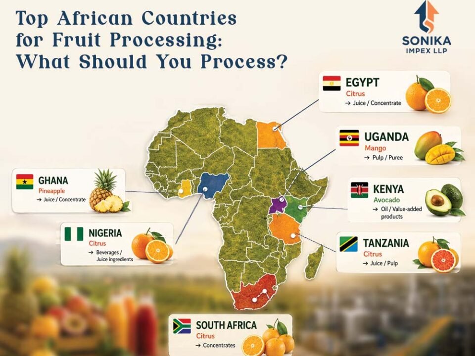Countries Leading the Fruit Processing Opportunity in Africa 15 Fruit Processing in Africa