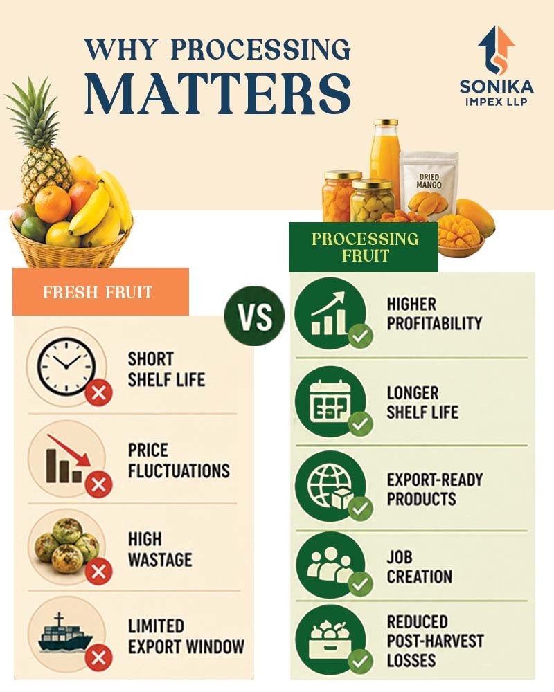 Why Fruit Processing is the Next Big Opportunity in Africa 10 fruit processing in Africa