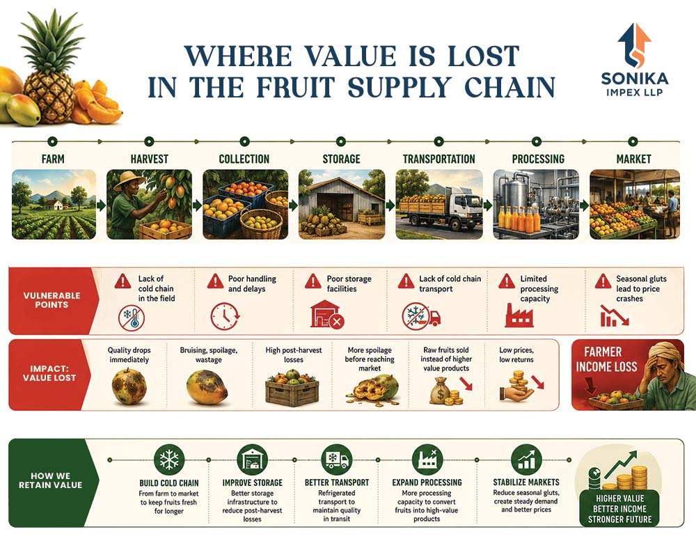 Why Fruit Processing is the Next Big Opportunity in Africa 12 fruit processing in Africa