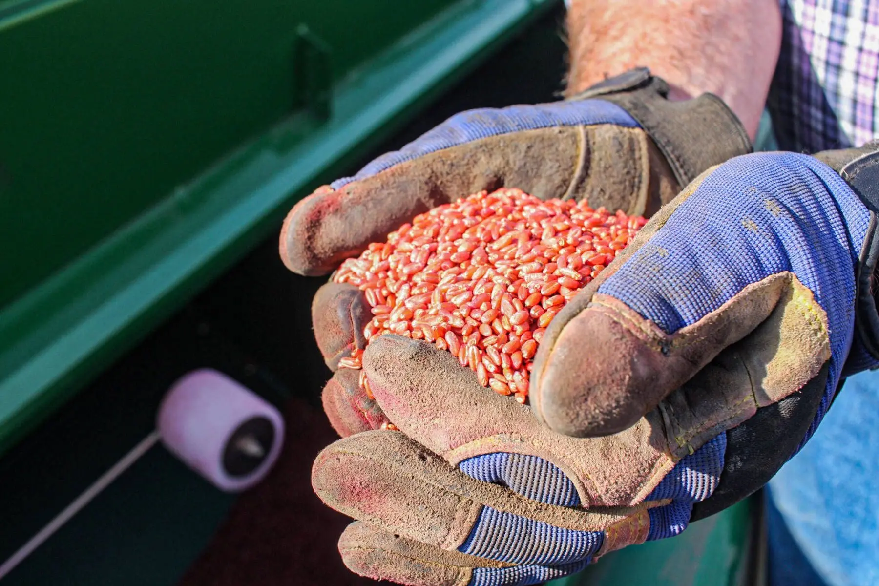 seed treatments